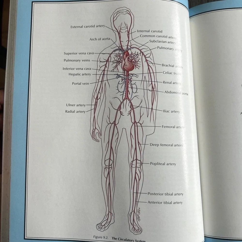 Columbia University College Of Physicians & Surgeons Complete Home Medical Guide